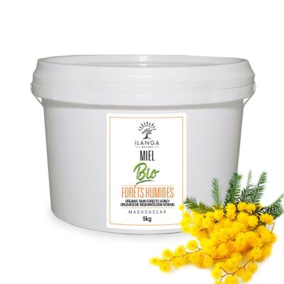 Miel de Fôrets Humides BIO 5kg