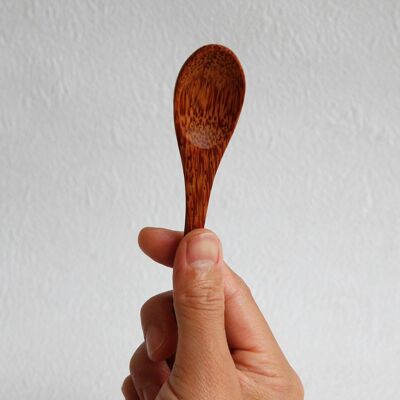 Small coconut wood spoon