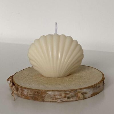 Decorative and craft candle - Seashell