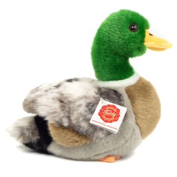 Canard sauvage 24 cm - peluche - peluche 5