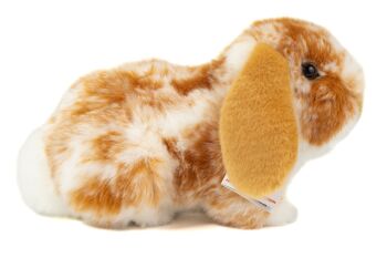 Bélier lapin marron clair et blanc tacheté 23 cm - peluche - peluche 3