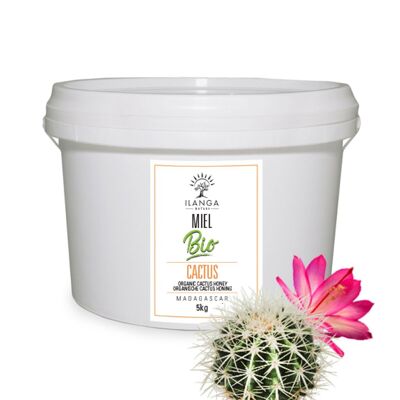 Miele di Cactus Biologico 5kg