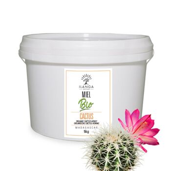 Miel de Cactus BIO 5kg 1
