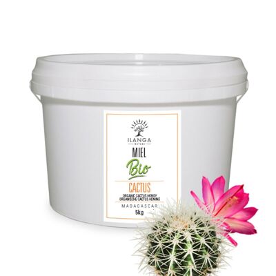 Organic Cactus Honey 5kg