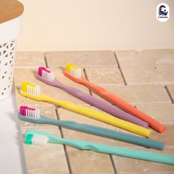 Brosses à dents Extra-souples - Lot de 10 (2 de chaque couleur) 4