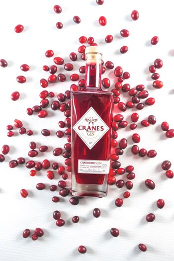 Grues Cranberry Gin 70cl 1