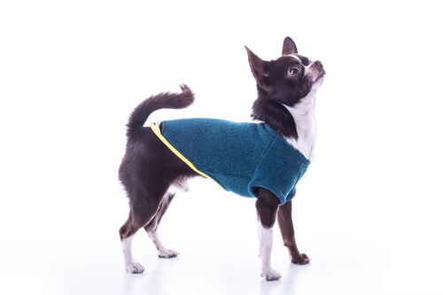 Jersey para perro Groc Groc Nun Freeze Azul