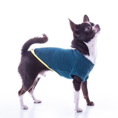 Jersey para perro Groc Groc Nun Freeze Azul