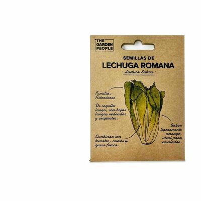 Sachet de graines de LAITUE ROMAINE (1u - 1gr)