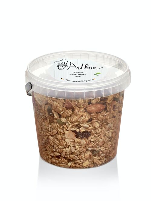 Granola Honey & Cranberry 500G