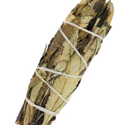 Yerba Père Noël Sauge 10 cm