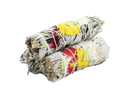 Harmonie Salbei 10cm