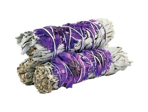 Purple Daze Sage 10cm (price per pc)