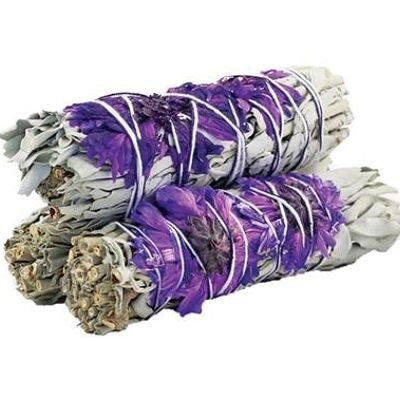 Purple Daze Sage 10cm (price per pc)