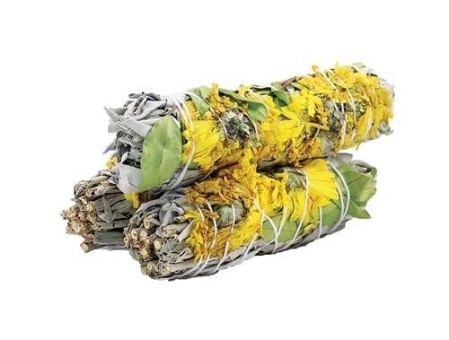 SUNFLOWER SAGE 10cm