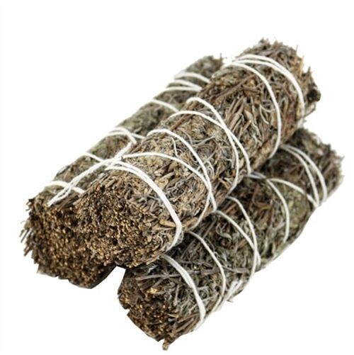 Thyme Sage 10 cm (Price per Piece)