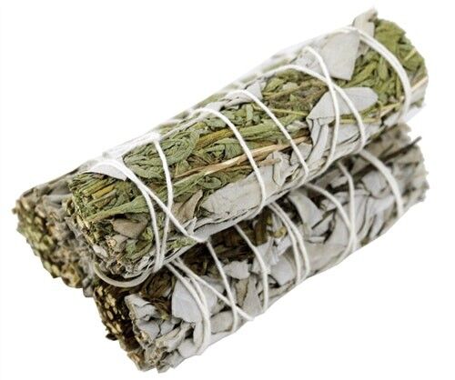 Salvia Bianca & Artemisia 10 cm (Prezzo per Pezzo)