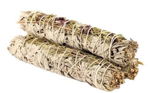 Aura Serena Salvia 22cm