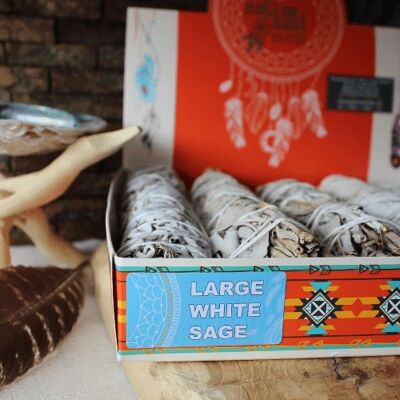 Native Soul Large White Sage Display 5 pcs