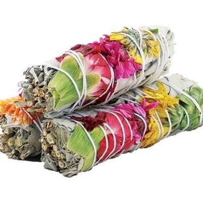 Native Joy Sage 10cm (prezzo per pz)