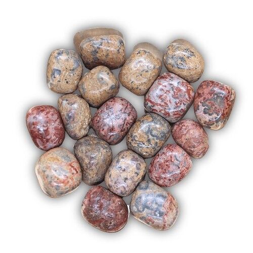 Leopard Jasper "Leopard Skin" Tumbled stones MEXICO 250 gram