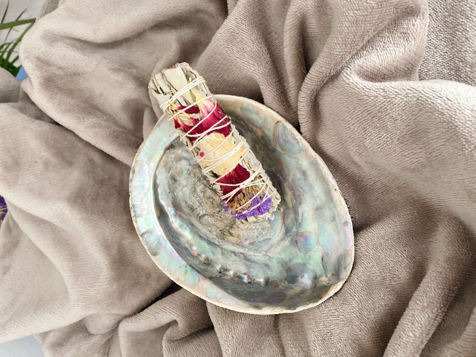 Happy Spirit Sage 10cm (precio por pc)