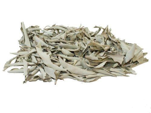 Green Tree White Sage Leaves 1000 grams