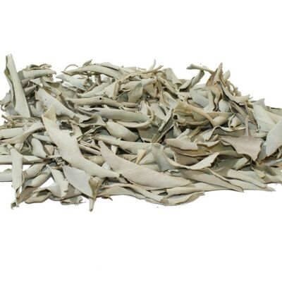 Feuilles de sauge blanche d'arbre vert 1000 grammes