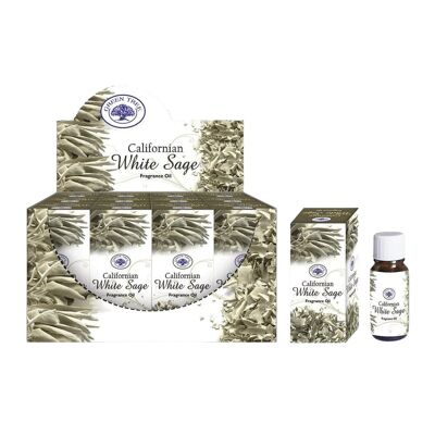Huile parfumée à la sauge blanche de Californie Green Tree 10 ml (12 par boîte)