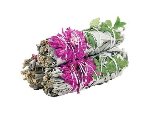 Dahlia Sage 10cm (price per pc)