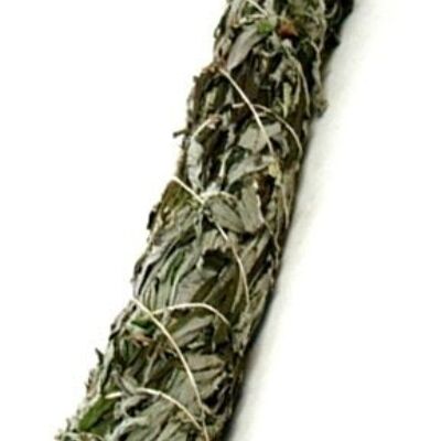 Salvia Negra 22,5 cm con cabezal