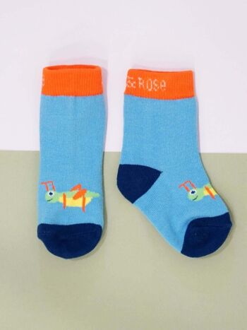 Insectes Chaussettes 1