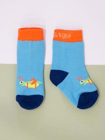 Insectes Chaussettes 5