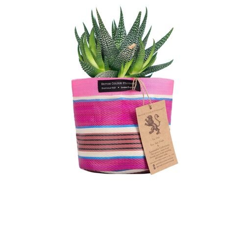 Small 14 cm - Eco Woven Plant Pot Cover in Neyron Pink, Pompadour & Pearl