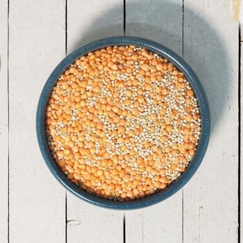 DESTOCKAGE - Mélange de quinoa 1