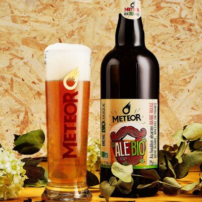 Bière Meteor Ale Bio 75cl