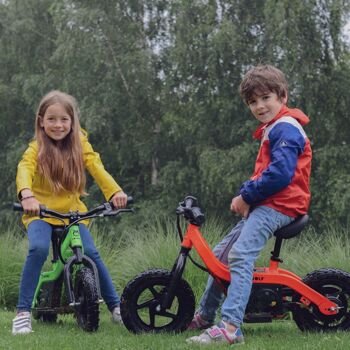 KIDYWOLF | KIDYBIKE VÉLO D'ÉQUILIBRAGE ÉLECTRIQUE POUR ENFANTS | VERT 6