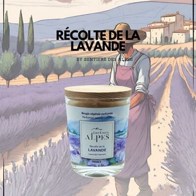 Scented Candle - Lavender Harvest