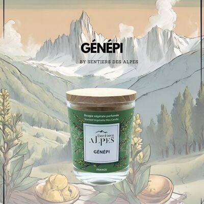 Scented Candle - Genepi