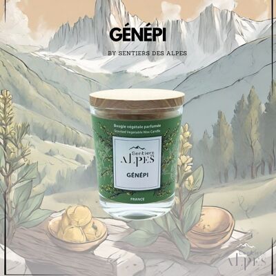 Scented Candle - Genepi