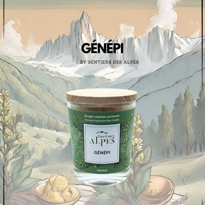 Candela Profumata - Genepi