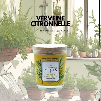 Bougie Parfumée - Verveine citronnelle