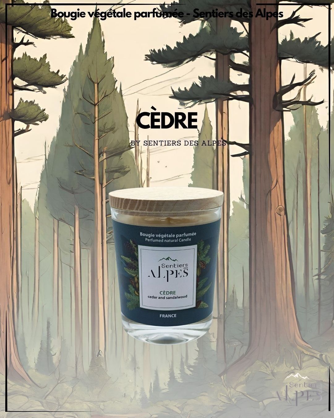 Vela Perfumada - Cedro