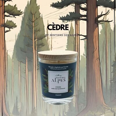 Scented Candle - Cedar