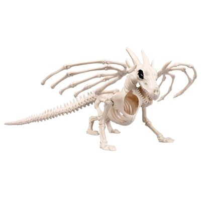 Squelette de dragon (37 cm)