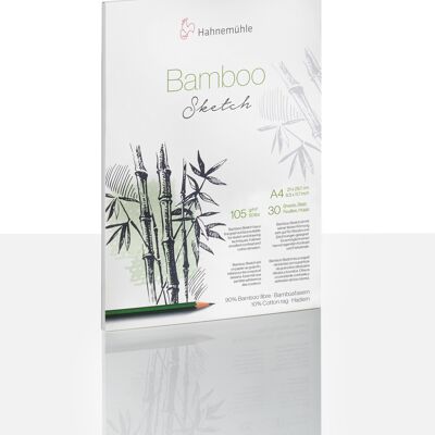 Croquis de bambou
