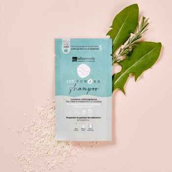 Recharge Shampoing EcoPowder - régulateur de sébum (Prébiotiques Tea Tree & Chicorée) 2