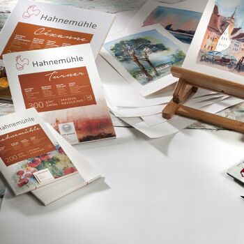 Hahnemühle 300 7