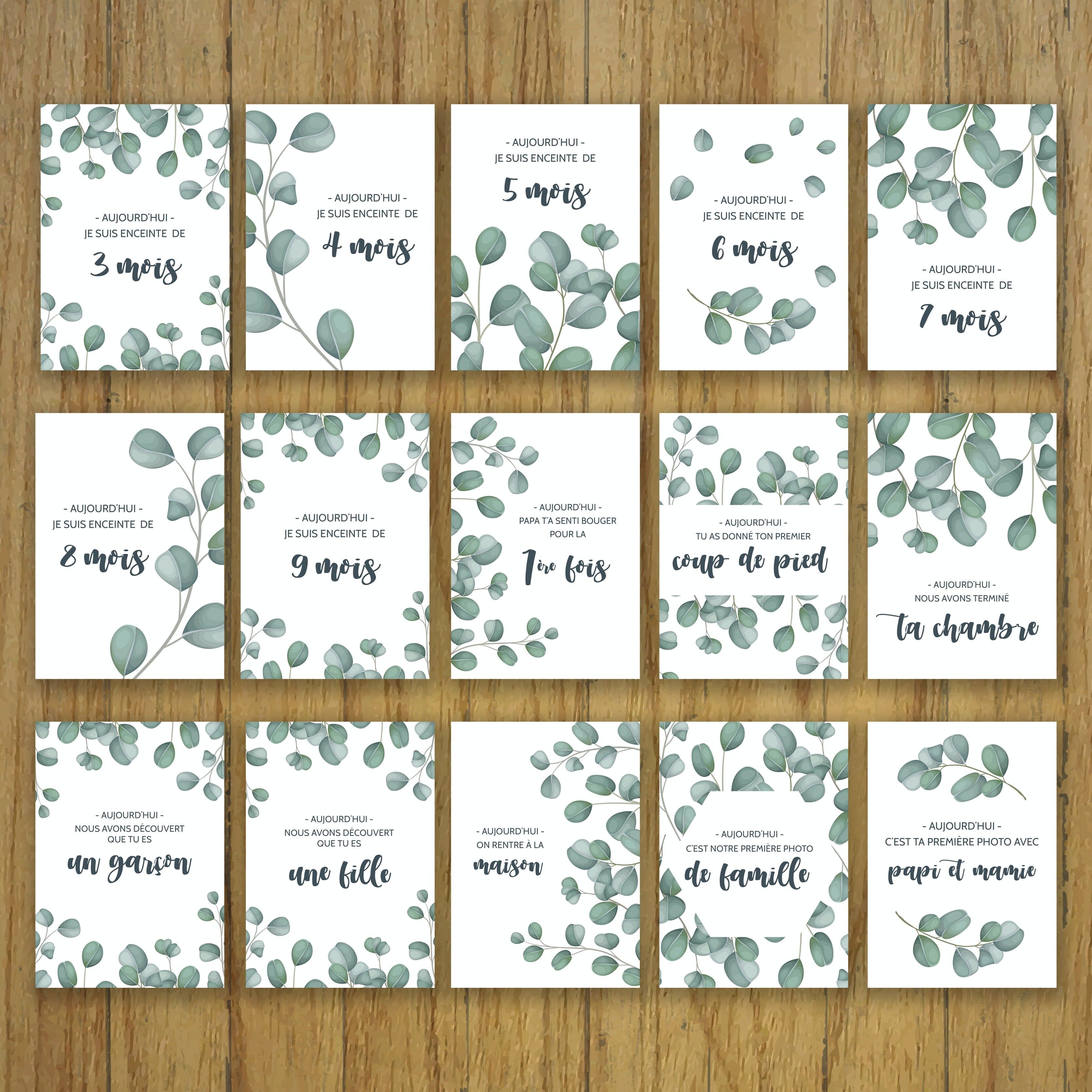 Schwangerschaftskarten, Monat für Monat, natürlicher Eukalyptus