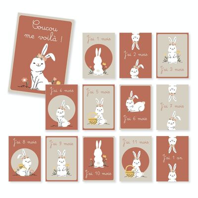 Baby milestone cards, month by month, white rabbit terracotta